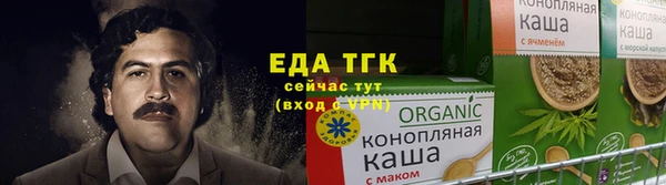 первитин Новодвинск