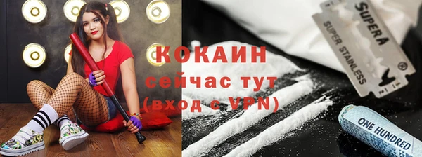 тгк Алексин