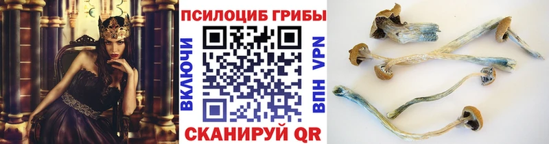 Псилоцибиновые грибы MAGIC MUSHROOMS Чадан