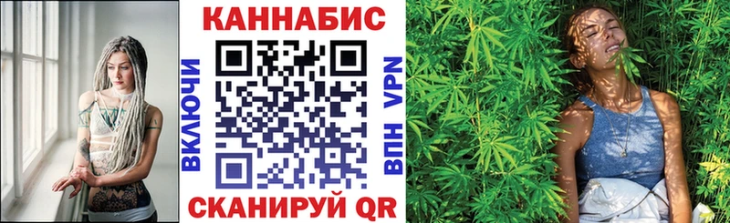 Канабис план Чадан